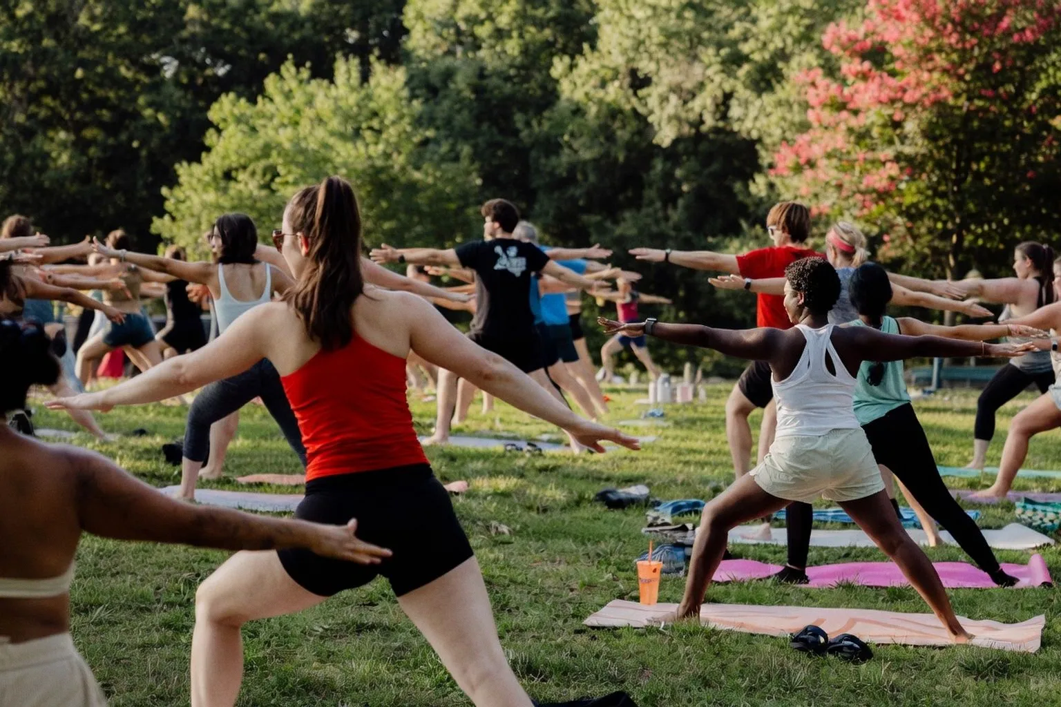 Yoga unter freiem Himmel: Kostenlose Übungsstunden im Pullen Park